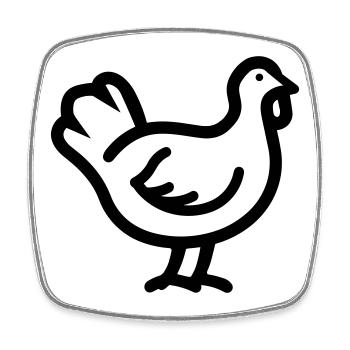 turkey - Square fridge magnet - white - Front