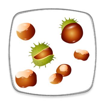 Herbstliche Kastanien – Naturmotiv mit Charme - Viereckiger Kühlschrankmagnet - Weiß - Vorne
