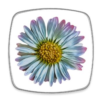 Gänseblümchen - Viereckiger Kühlschrankmagnet - Weiß - Vorne