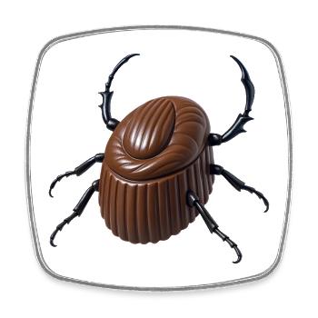 PRALINE À PATTES - Bellegique - Viereckiger Kühlschrankmagnet - Weiß - Vorne