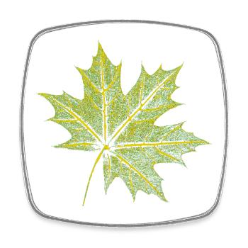Feuille d’érable - Forêt et nature BOTANIK - Magnet carré - blanc - Devant