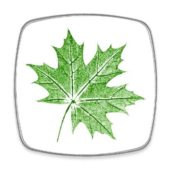 Leaf Maple / Maple Leaf - Square fridge magnet - white - Front