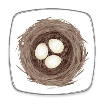 Bird's Nest with Three Eggs – Natural Illustration - Square fridge magnet - white - Front