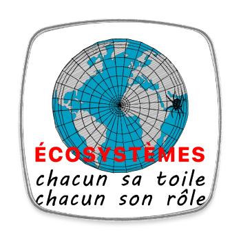 ecosystmes_chacun_sa_toile_chacun_son_role - Magnet carré - blanc - Devant