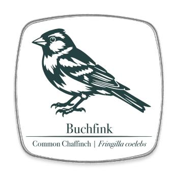 Silhouette de pinson | Ornithologie | Dessin - Magnet carré - blanc - Devant