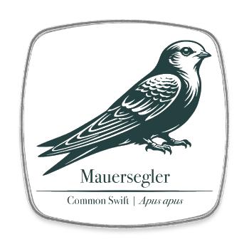 Silhouette Rapide | Ornithologie | Dessin - Magnet carré - blanc - Devant