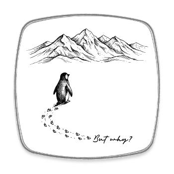But why? Pinguin Meme Fußspuren Doodle Gekritzel - Viereckiger Kühlschrankmagnet - Weiß - Vorne