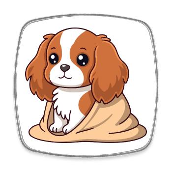 Chien cavalier Douceur Beige - Magnet carré - blanc - Devant