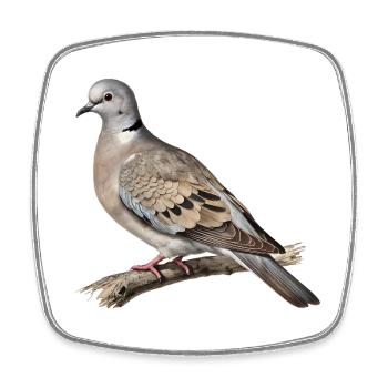 Turteltaube-Naturillustration - Viereckiger Kühlschrankmagnet - Weiß - Vorne
