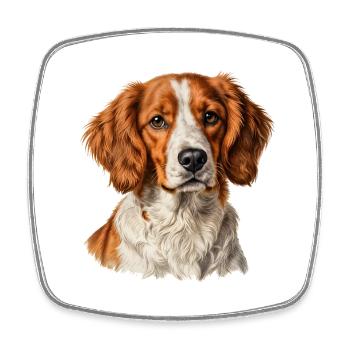 Brittany Spaniel — Naturalist Portrait - Square fridge magnet - white - Front