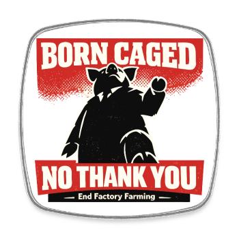 Born Caught – No Thanks Factory Farming - Square fridge magnet - white - Front