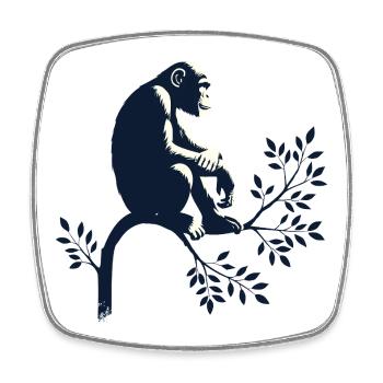 Chimpanzee - Square fridge magnet - white - Front
