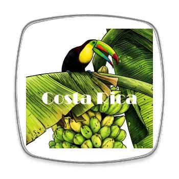 Tukan auf der Bananenstaude in Costa Rica - Viereckiger Kühlschrankmagnet - Weiß - Vorne