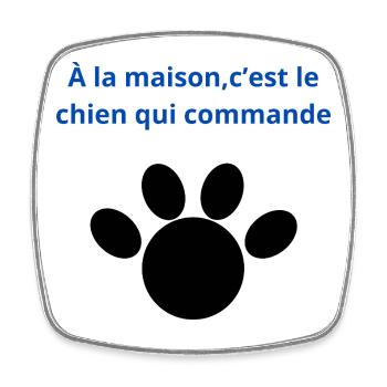 à_la_maison-_-c'est_le_chien_qui_commande - Magnet carré - blanc - Devant