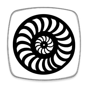 Ammonite - Square fridge magnet - white - Front