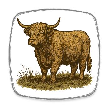 Highland-Rind - Viereckiger Kühlschrankmagnet - Weiß - Vorne
