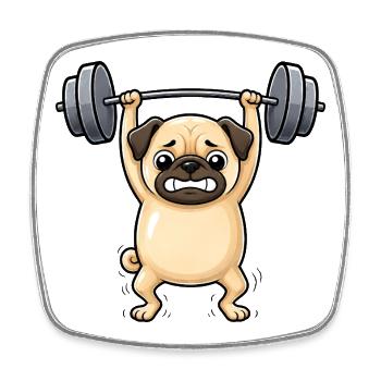 Pug Dog Fitness Weightlifter Dumbbell Gym - Square fridge magnet - white - Front