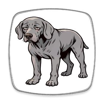 Weimaraner Weimaranerbesitzer Weimaranerliebhaber - Viereckiger Kühlschrankmagnet - Weiß - Vorne