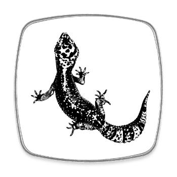 Leopardgecko / Gecko - Viereckiger Kühlschrankmagnet - Weiß - Vorne