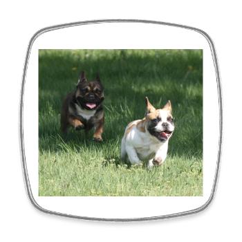 Angel et Wanda nos Français Bulldogs - Magnet carré - blanc - Devant