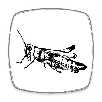 Grasshopper / Grashüpfer - Viereckiger Kühlschrankmagnet - Weiß - Vorne