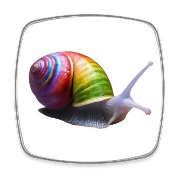 Bunte Schnecke 2 - Viereckiger Kühlschrankmagnet - Weiß - Vorne