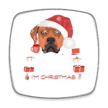 Rhodesian Ridgeback Weihnachtsmarkt - Viereckiger Kühlschrankmagnet - Weiß - Vorne