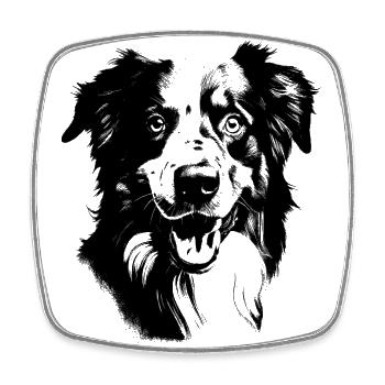 Australian Shepherd - Square fridge magnet - white - Front