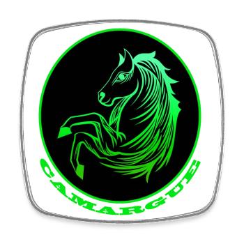 Cheval de Camargue vert fluo - Magnet carré - blanc - Devant