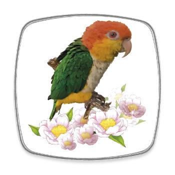 Der orangeköpfige Caique - Viereckiger Kühlschrankmagnet - Weiß - Vorne