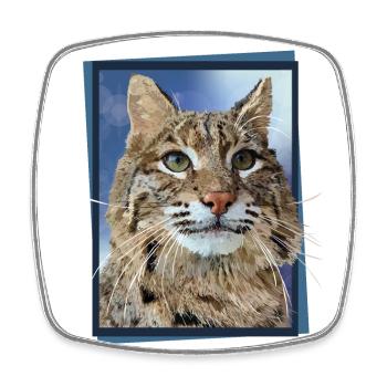 Luchs - Viereckiger Kühlschrankmagnet - Weiß - Vorne