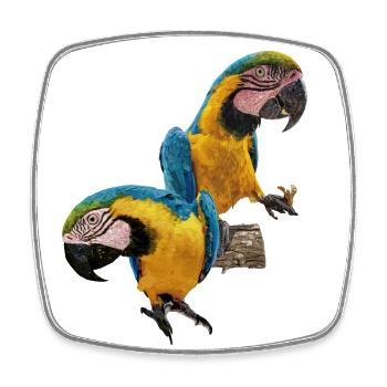 The blue and yellow macaw - Square fridge magnet - white - Front