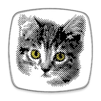 Katzenbaby mit gelben Augen - Viereckiger Kühlschrankmagnet - Weiß - Vorne