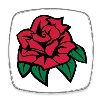 6254398 135433816 Rose - Square fridge magnet - white - Front