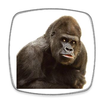 gorilla - Square fridge magnet - white - Front