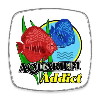 Aquarien-Süchtige: Bunte Fische - Viereckiger Kühlschrankmagnet - Weiß - Vorne