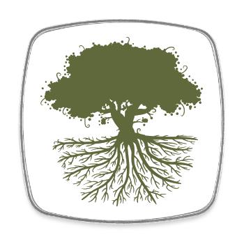 tree roots green - Square fridge magnet - white - Front