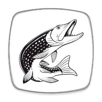 Fish - Pike - Fishing - Fishing - Fishermen - Square fridge magnet - white - Front