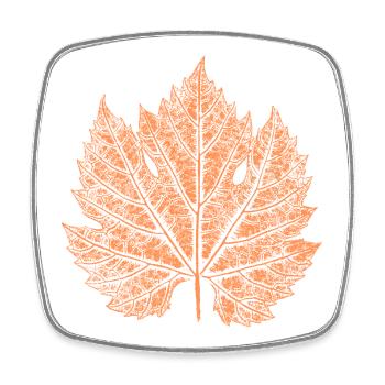 Wine / Leaf / Autumn - Square fridge magnet - white - Front