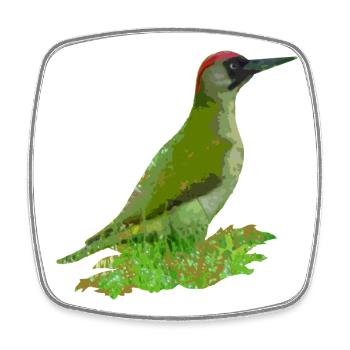 gruenspecht vogel natur - Viereckiger Kühlschrankmagnet - Weiß - Vorne