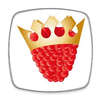 framboise rouge juteuse avec une couronne dorée - Magnet carré - blanc - Devant