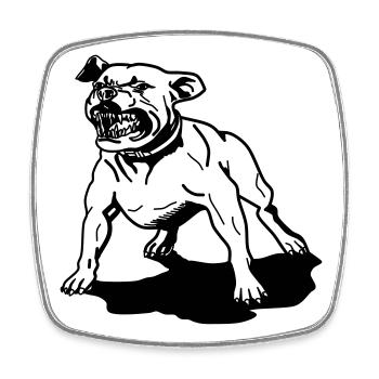 pitbull, staffordshire terrier - Square fridge magnet - white - Front