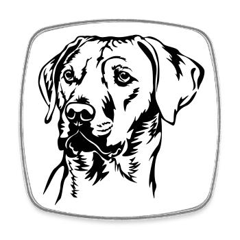 Rhodesian Ridgeback tête - Magnet carré - blanc - Devant