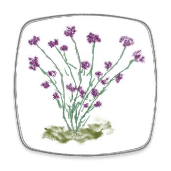 Florale Wildblumenzeichnung - Viereckiger Kühlschrankmagnet - Weiß - Vorne