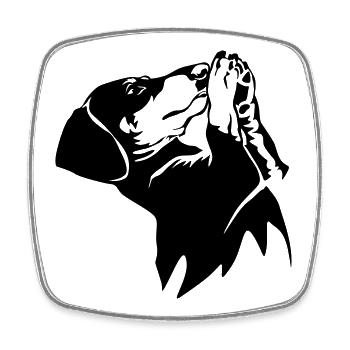 Dachshund - Square fridge magnet - white - Front