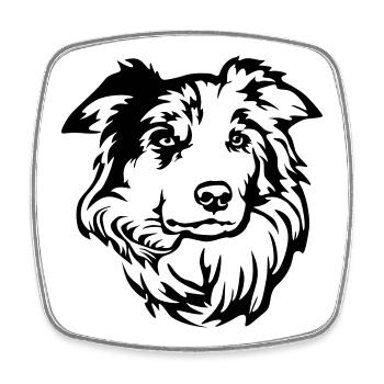 Tête de Border Collie - Magnet carré - blanc - Devant