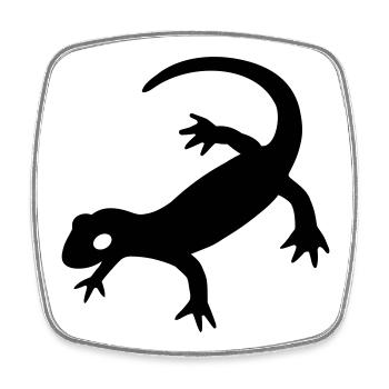 Salamander 2023 - Viereckiger Kühlschrankmagnet - Weiß - Vorne