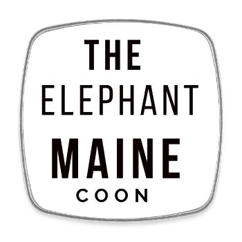 The Elephant Maine Coon - Beubasnue Style - Square fridge magnet - white - Front
