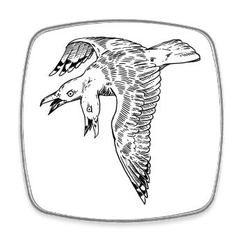 Two-headed seagull - Square fridge magnet - white - Front