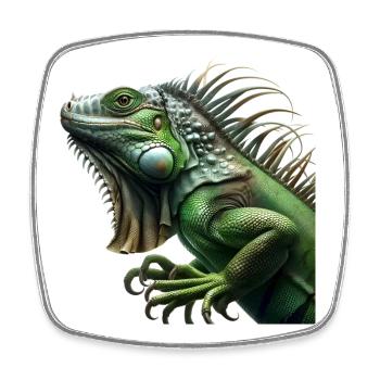 Iguana - Square fridge magnet - white - Front